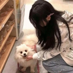 可爱连连队内购破解版下载